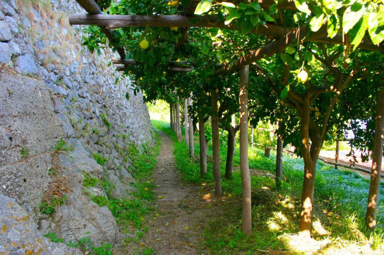 The Guardian Of Amalfi Villa Exterior photo